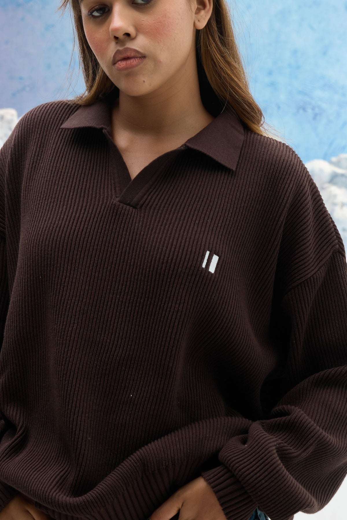 Brown Rib Polo
