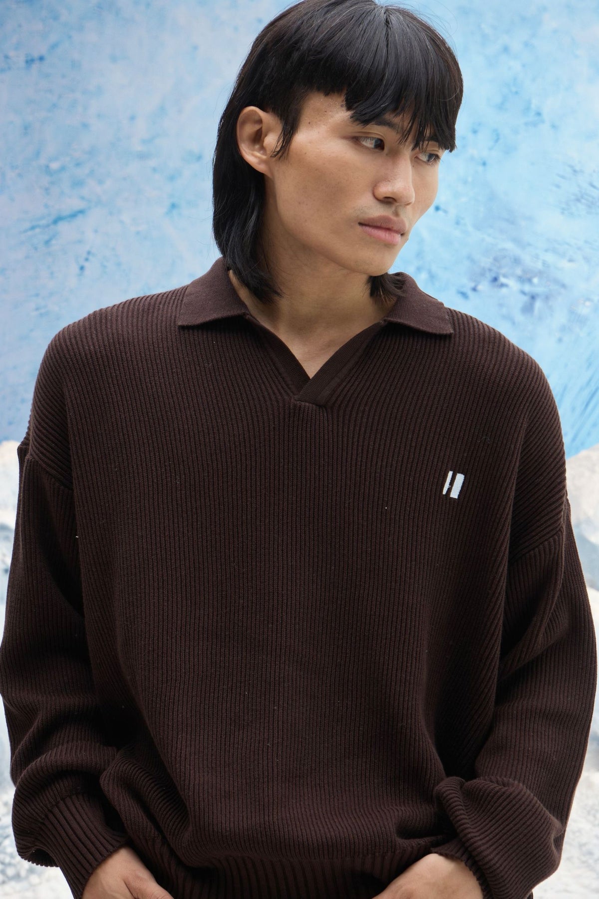 Brown Rib Polo
