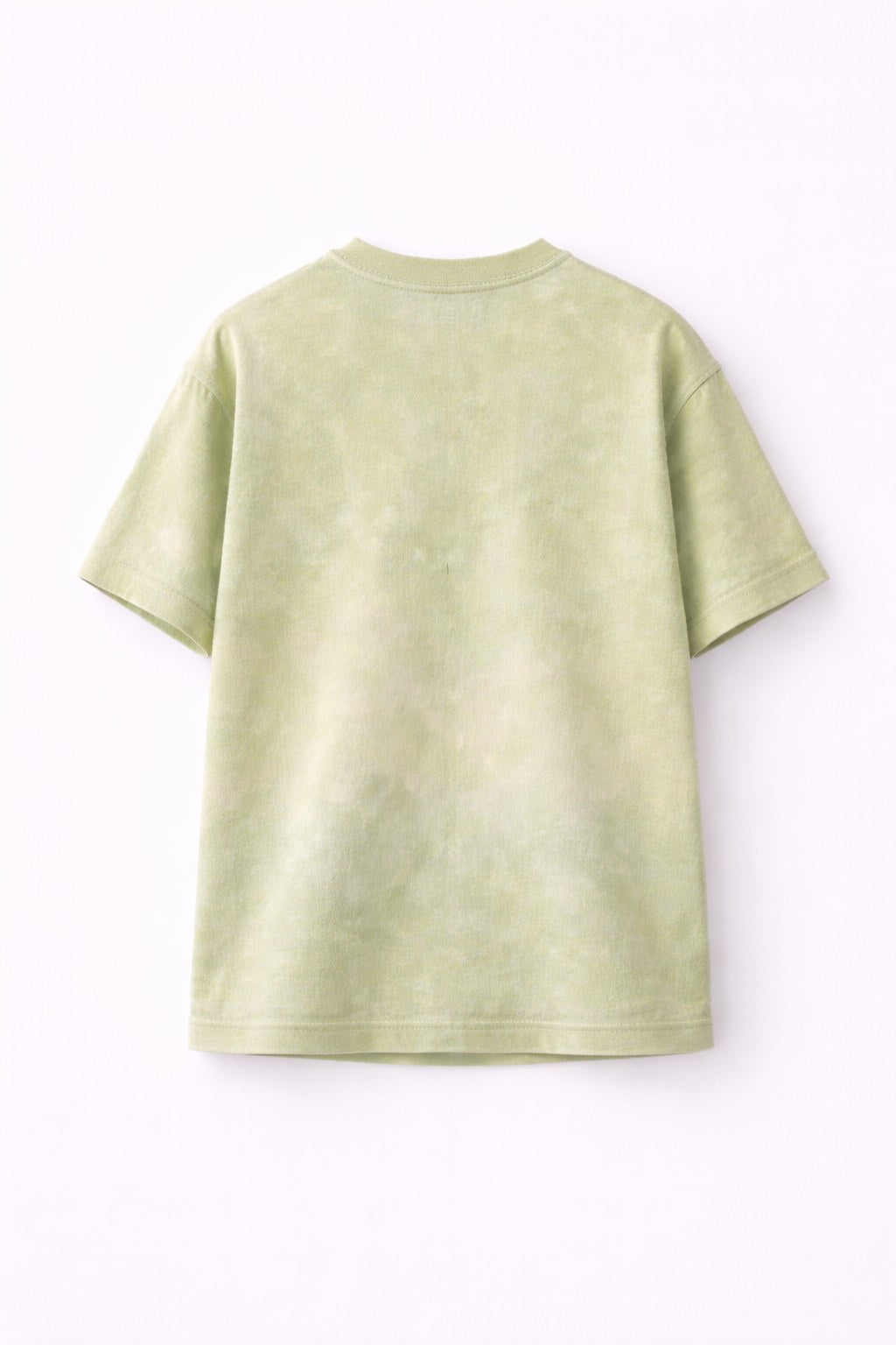 Green Washed T-Shirt Jr
