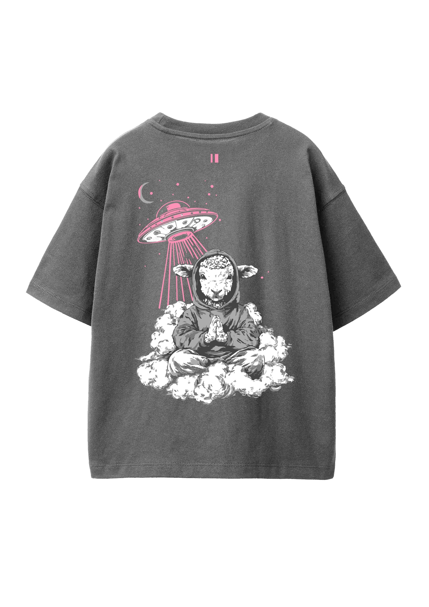 Grey Indifferent T-Shirt Jr